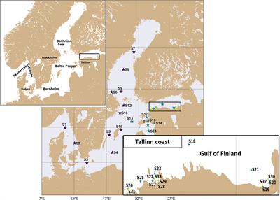 Uncertainty and Consistency Assessment in Multiple Microplastic Observation Datasets in the Baltic Sea